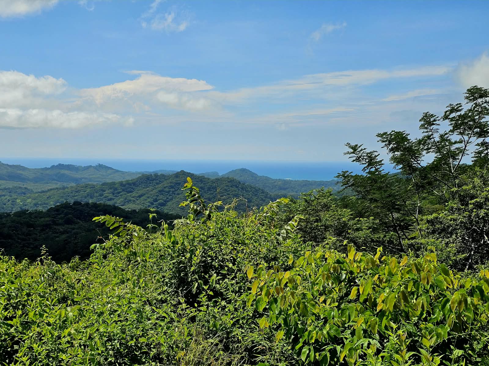 Finca Naranjalito - Price Drop !