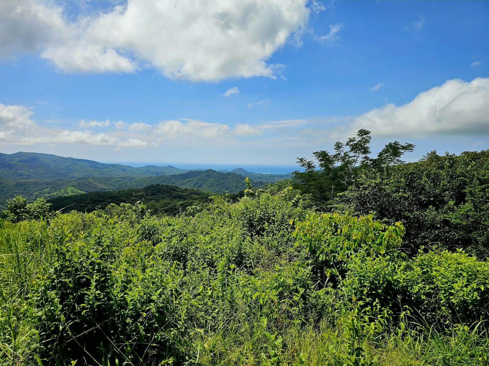 Finca Naranjalito - Price Drop ! - Maquenco - photo 16
